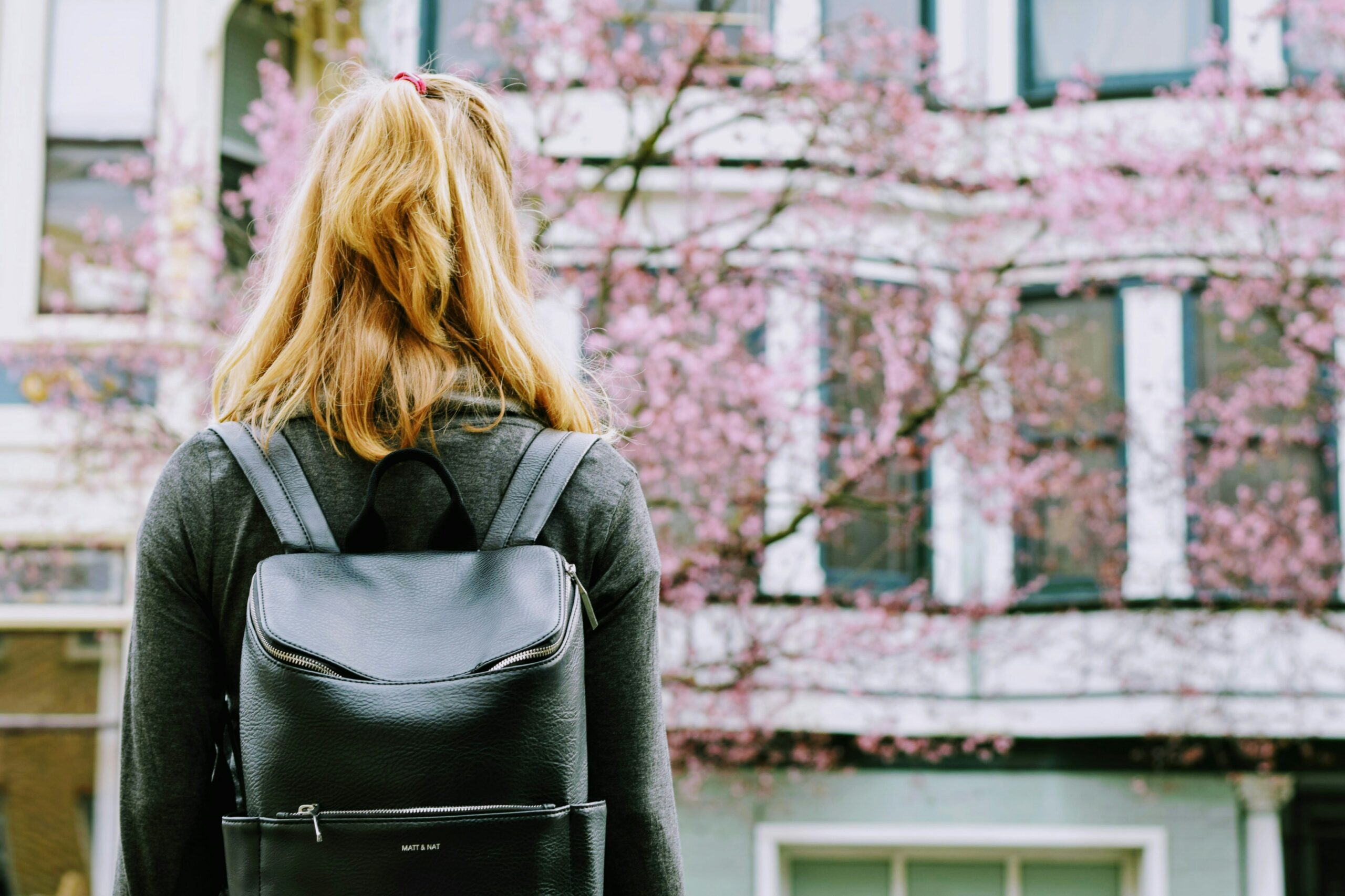 Student recruitment